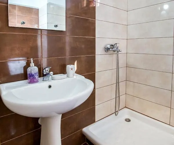 安德罗尼公寓 公寓 *