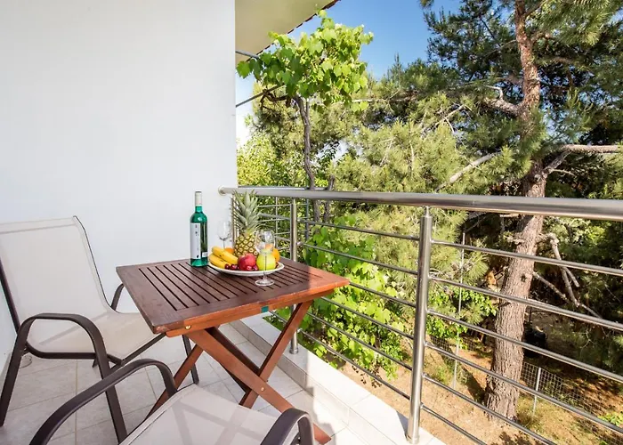 安德罗尼公寓 波托什